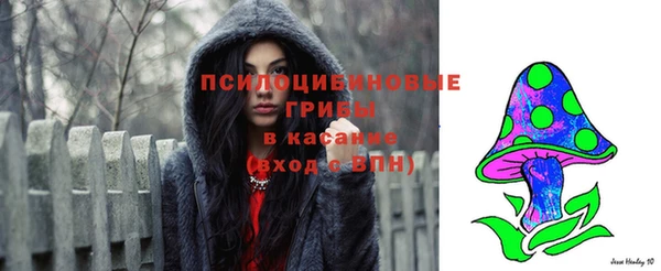 ECSTASY Алексин