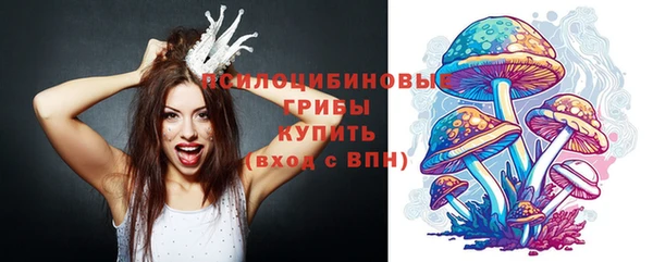 ECSTASY Алексин