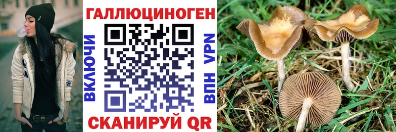 как найти закладки Кириши ссылка на мегу вход Псилоцибиновые грибы мицелий